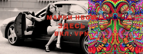 сатива Белокуриха