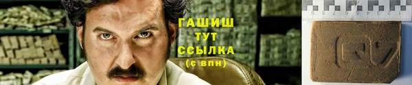 сатива Белокуриха