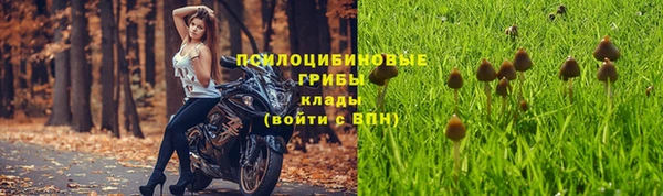 марихуана Беломорск