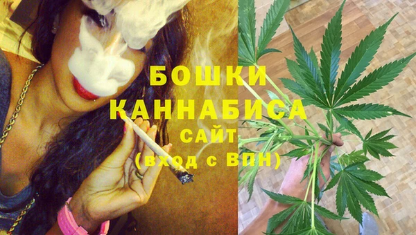 сатива Белокуриха