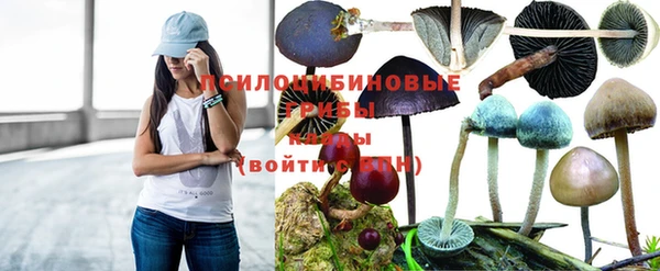 марихуана Беломорск
