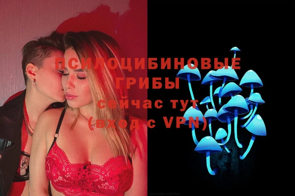 сатива Белокуриха
