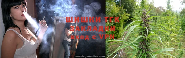 сатива Белокуриха