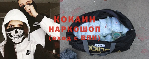 сатива Белокуриха