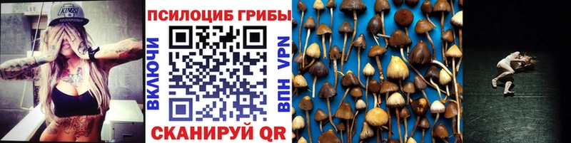 omg ONION Губкинский Галлюциногенные грибы мицелий