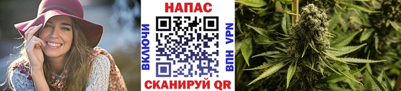Каннабис ГИДРОПОН  Губкинский 